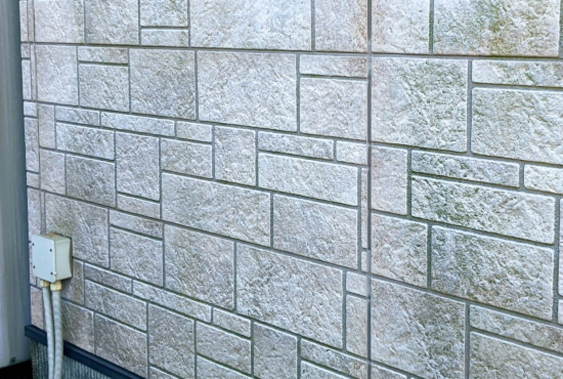 カビ・コケ・藻